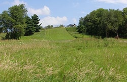 View of Griswold Conservation Area