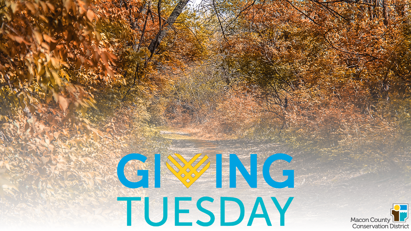 Woodland trail in the fall with Giving Tuesday logo